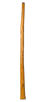 Les Peach Didgeridoos (LP104)